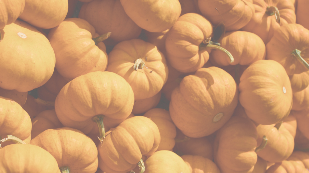 Herbstzauber für die Kleinen: Tipps für Eltern