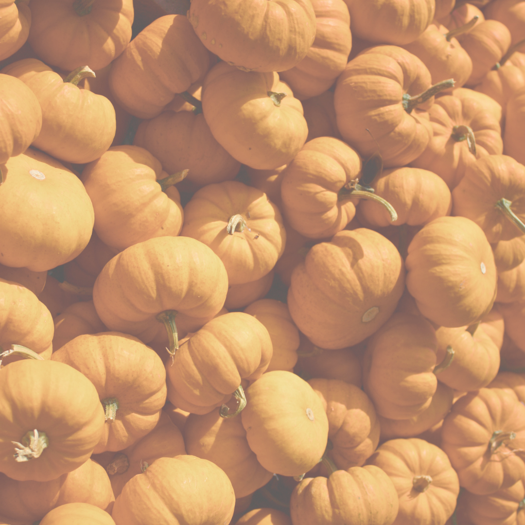 Herbstzauber für die Kleinen: Tipps für Eltern